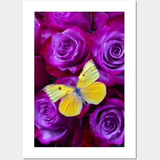 Yellow Butterfly Resting On Purple Red Roses Posters and Art